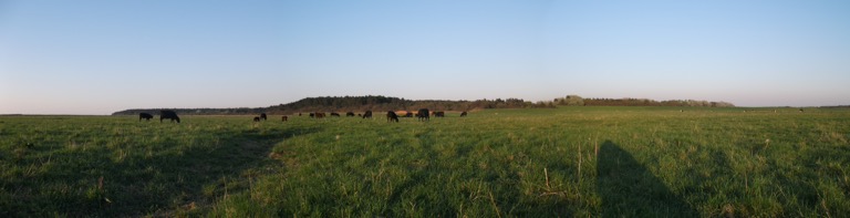 Panorama Weide